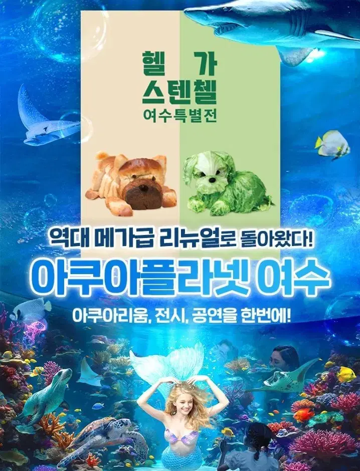 여수 아쿠아플라넷  입장권